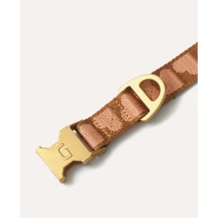 Dogguo Collar - Hondenhalsband - 22-36 cm Bruin Abrikoos Xs