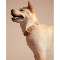 Dogguo Collar - Hondenhalsband - 36-52 cm Bruin Abrikoos M