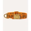 Dogguo Collar - Hondenhalsband - 36-52 cm Oranje Bruin M