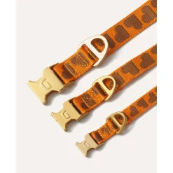 Dogguo Collar - Hondenhalsband - 36-52 cm Oranje Bruin M