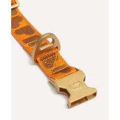 Dogguo Collar - Hondenhalsband - 28-40 cm Oranje Bruin S