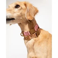 Dogguo Collar - Hondenhalsband - 28-40 cm Pink Mokka S
