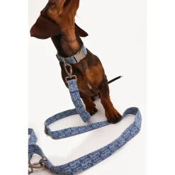 Dogguo Denim Leash - Hondenriem - 23 cm Denim Voor Kleine Honden