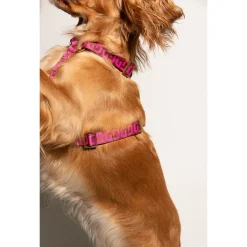 Dogguo Dg Harness - Hondentuig