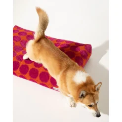 Dogguo Dot Bed - Hondenmatras - 125x75x15 cm Oranje Magenta Xl