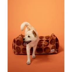 Dogguo Dot Sofa - Hondenmatras - 80x60x26 cm Mokka Bruin M