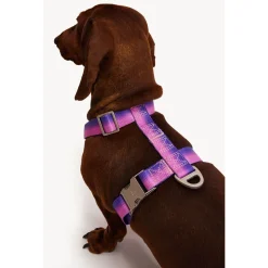 Dogguo Gradient Harnas Paars&Pink - Hondentuig