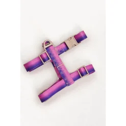Dogguo Gradient Harnas Paars&Pink - Hondentuig