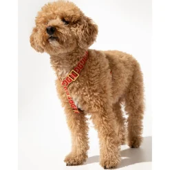 Dogguo Harness - Hondentuig - 24-38 cm Mokka Rood S