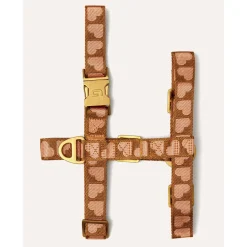 Dogguo Harness - Hondentuig - 31-50 cm Bruin Abrikoos M