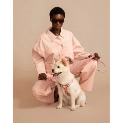 Dogguo Harness - Hondentuig - 40-67 cm Mokka Pink L