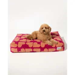 Dogguo Heart Bed - Hondenmatras - 105x65x15 cm Magenta Abrikoos L