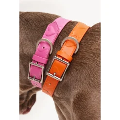 Dogguo Heart Collar - Hondenhalsband - Roze