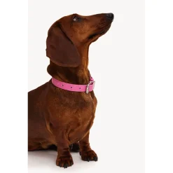 Dogguo Heart Collar - Hondenhalsband - Roze