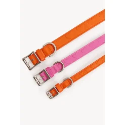 Dogguo Heart Collar - Hondenhalsband - Oranje