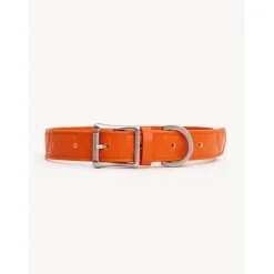 Dogguo Heart Collar - Hondenhalsband - Oranje