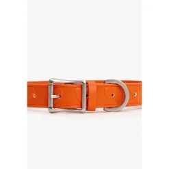 Dogguo Heart Collar - Hondenhalsband - Oranje