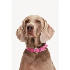 Dogguo Heart Collar - Hondenhalsband - Roze