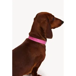 Dogguo Heart Collar - Hondenhalsband - Roze