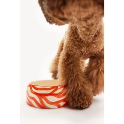 Dogguo Heart Dogbowl Oranje&Beige - Hondenvoerbak