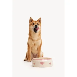 Dogguo Heart Dogbowl Pink&Beige - Hondenvoerbak