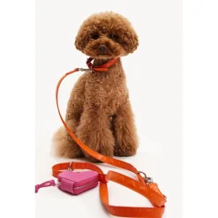 Dogguo Heart Leash - Hondenriem - Oranje