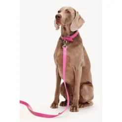 Dogguo Heart Leash - Hondenriem - Roze