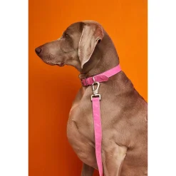 Dogguo Heart Leash - Hondenriem - Roze