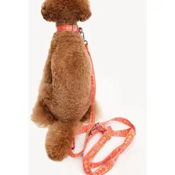 Dogguo Leash - Hondenriem - 23 cm Oranje Pink Voor Kleine Honden