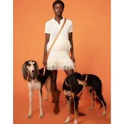 Dogguo Leash - Hondenriem - Bruin Abrikoos S