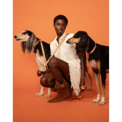 Dogguo Leash - Hondenriem - Bruin Abrikoos S