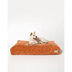 Dogguo Maze Bed - Hondenmatras - 125x75x15 cm Bruin Abrikoos Xl