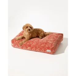 Dogguo Maze Bed - Hondenmatras - 125x75x15 cm Mokka Rood Xl