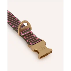 Dogguo Retro Wave Collar - Hondenhalsband - Ø15 cm Groen Pink Xs