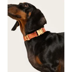 Dogguo Retro Wave Collar - Hondenhalsband - Ø26 cm Roest Pink L