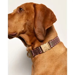 Dogguo Retro Wave Collar - Hondenhalsband - Ø23 cm Groen Pink S