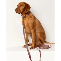 Dogguo Retro Wave Collar - Hondenhalsband - Ø23 cm Groen Pink S