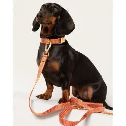 Dogguo Retro Wave Collar - Hondenhalsband - Ø26 cm Roest Pink M