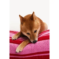 Dogguo Stripe Bed Rood&Pink - Hondenmatras