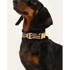Dogguo Zebra Collar - Hondenhalsband - Ø15 cm Beige Zwart Xs