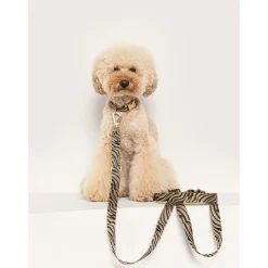 Dogguo Zebra Collar - Hondenhalsband - Ø15 cm Beige Zwart Xs