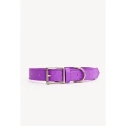 Dogguo Zebra Collar - Hondenhalsband - Paars