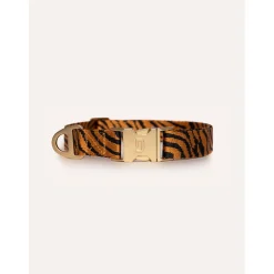 Dogguo Zebra Collar - Hondenhalsband - Ø23 cm Roest Zwart S