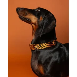 Dogguo Zebra Collar - Hondenhalsband - Ø23 cm Roest Zwart S