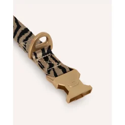Dogguo Zebra Collar - Hondenhalsband - Ø23 cm Beige Zwart S
