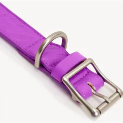 Dogguo Zebra Collar - Hondenhalsband - Paars