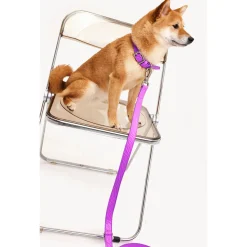 Dogguo Zebra Leash - Hondenriem - Paars