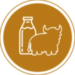 Dogsee Chew Puffy Bars - Hondensnacks - Kaas 70 g