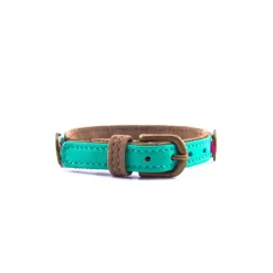 Dwam Coco Kattenhalsband - Kattenhalsband - Multi-Color 22-27x1 Cm