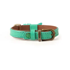 Dwam Halsband Boomer Turquoise - Hondenhalsband